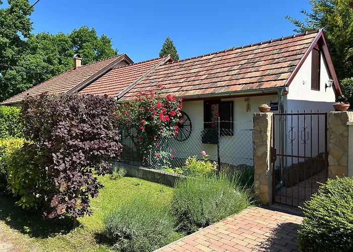 Csaol Haz * ולנצה